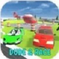 Dude & Race Simulator