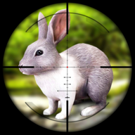 兔子狩猎狙击手射击